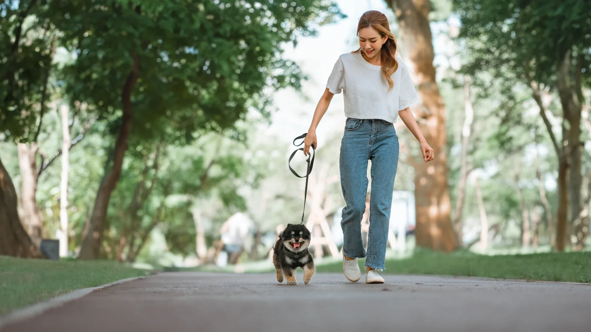 Woman walking her small dog on a tree-lined park path